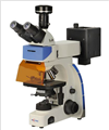 UY203i Fluorescence Microscope